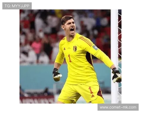 库尔图瓦加盟比利时国家队，未来前景备受瞩目